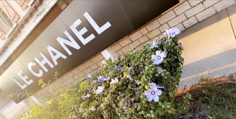 Hotel Restaurant Le Chanel Villieu Exterior photo